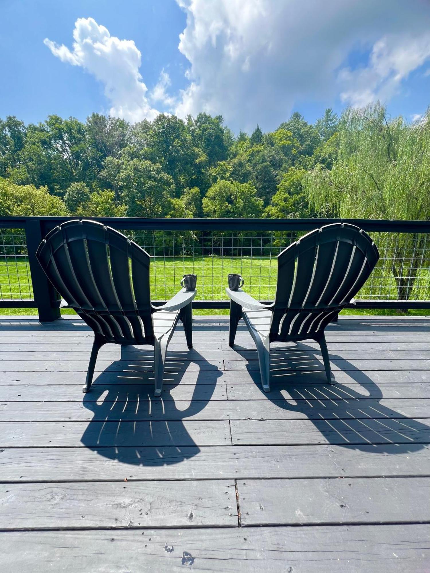 Firefly Fields 2-Acres With Guest House, Game Room, Mountain & River Views Сивиървил Екстериор снимка