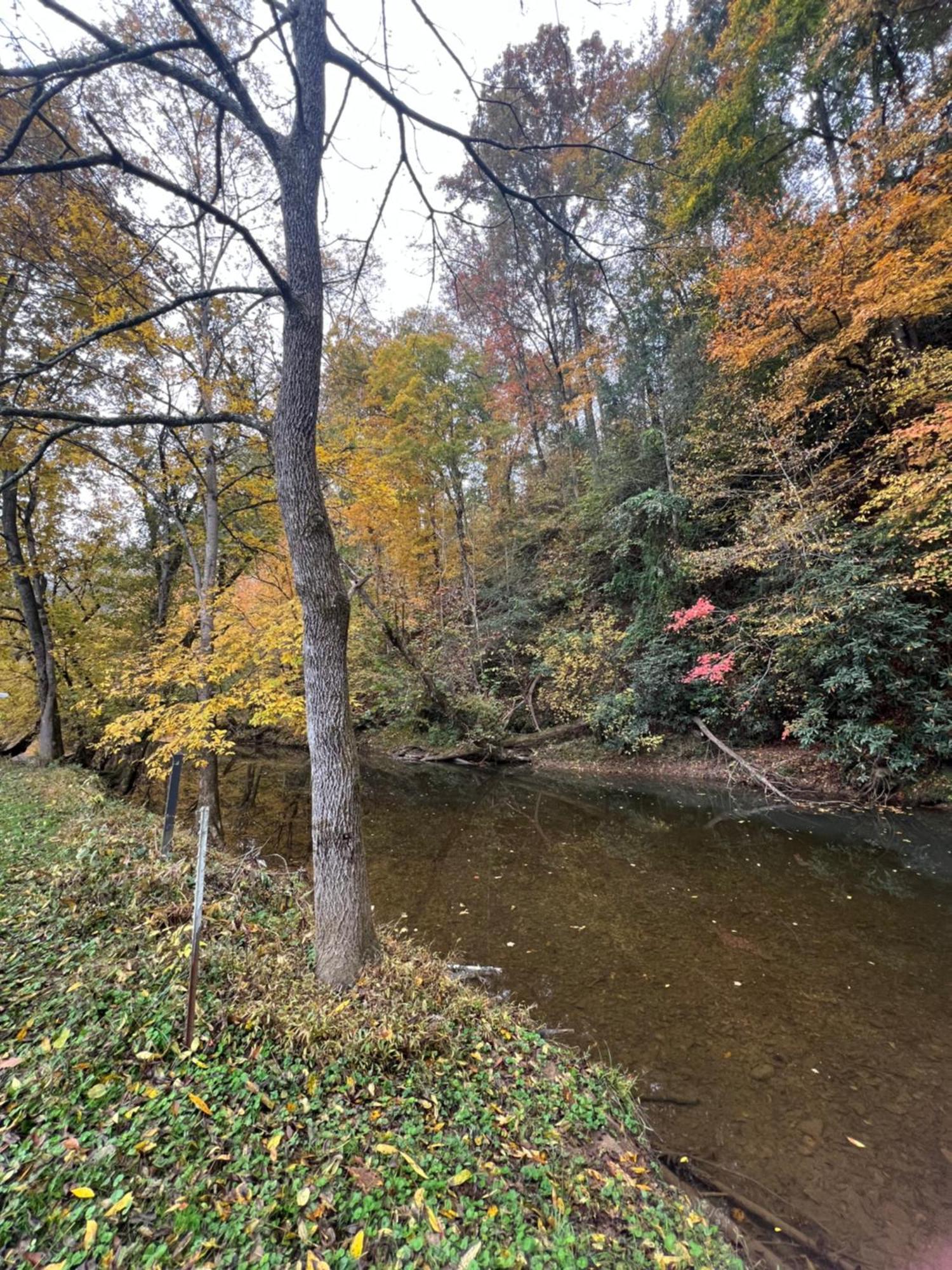 Firefly Fields 2-Acres With Guest House, Game Room, Mountain & River Views Сивиървил Екстериор снимка