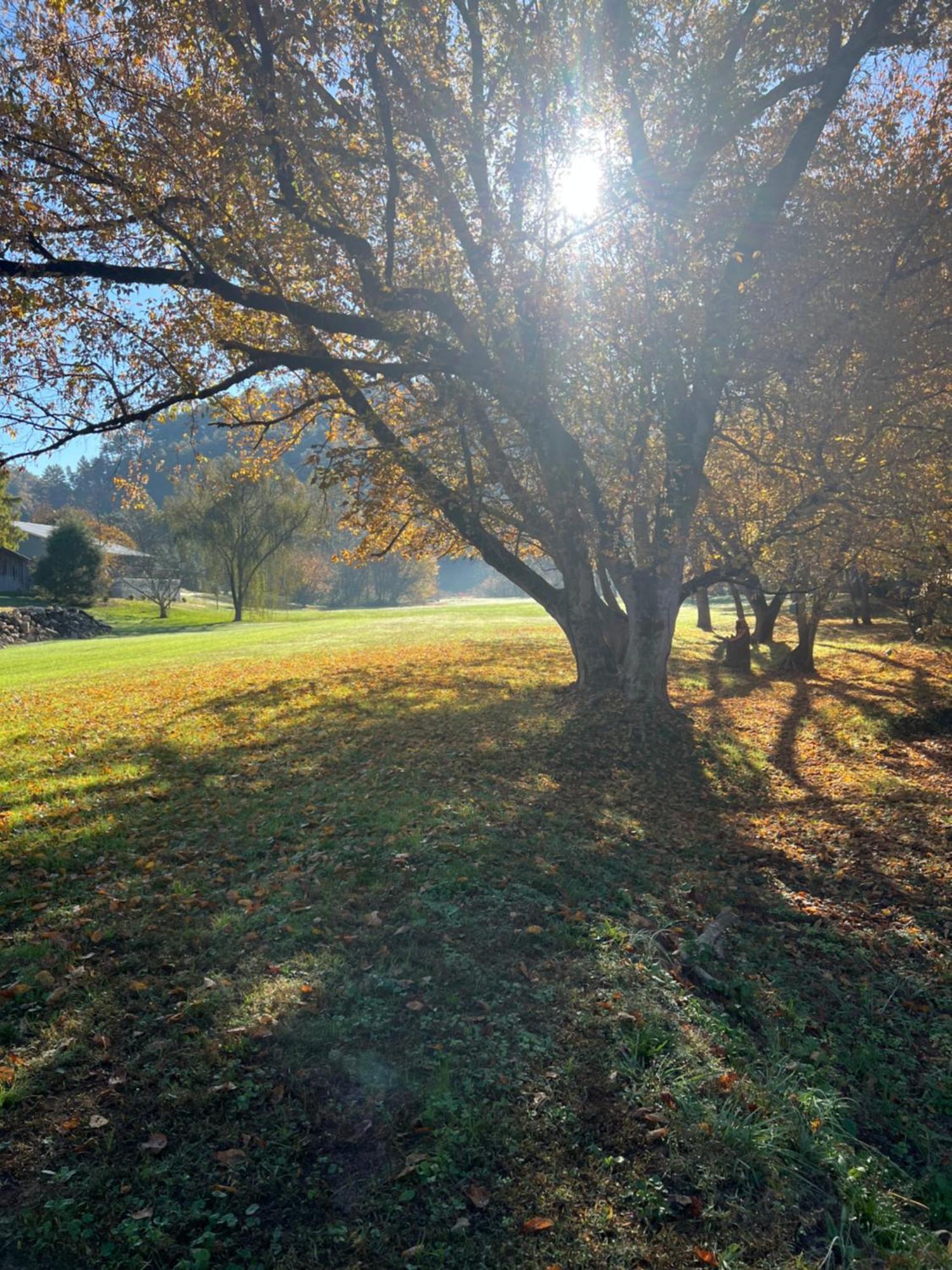 Firefly Fields 2-Acres With Guest House, Game Room, Mountain & River Views Сивиървил Екстериор снимка
